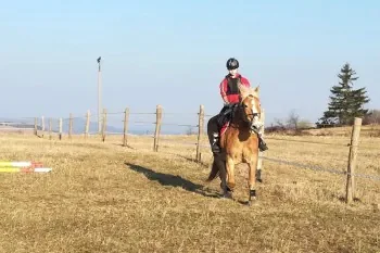Horse riding at the AB laz farm